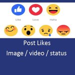 2000+ internationale Facebook Foto/Video/Text Likes