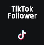 1000+ international TikTok Followers