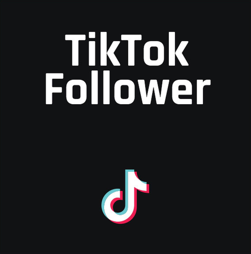 1000+ internationale TikTok Followers
