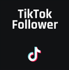 4000+ international TikTok Followers