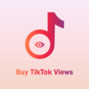500+ internationale TikTok Video Views/Aufrufe